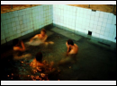 Bild196.jpg